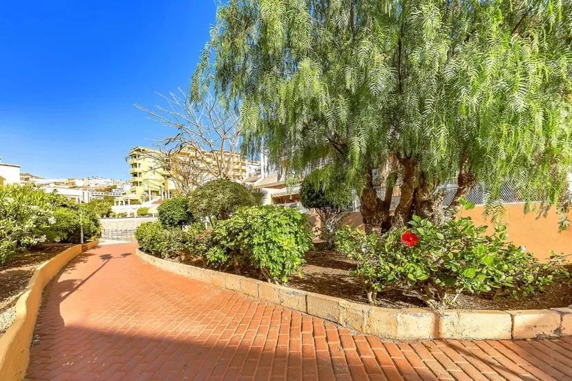 Tenerifeopenhome Costa Adeje Comfort Apartment 3 Pools المظهر الخارجي الصورة